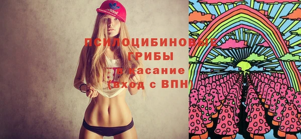 молекула духа Арсеньев