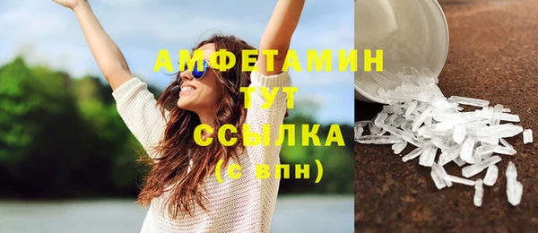 молекула духа Арсеньев