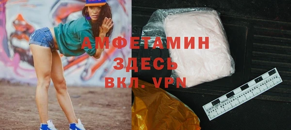 молекула духа Арсеньев