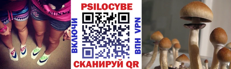 Галлюциногенные грибы MAGIC MUSHROOMS Рыбное